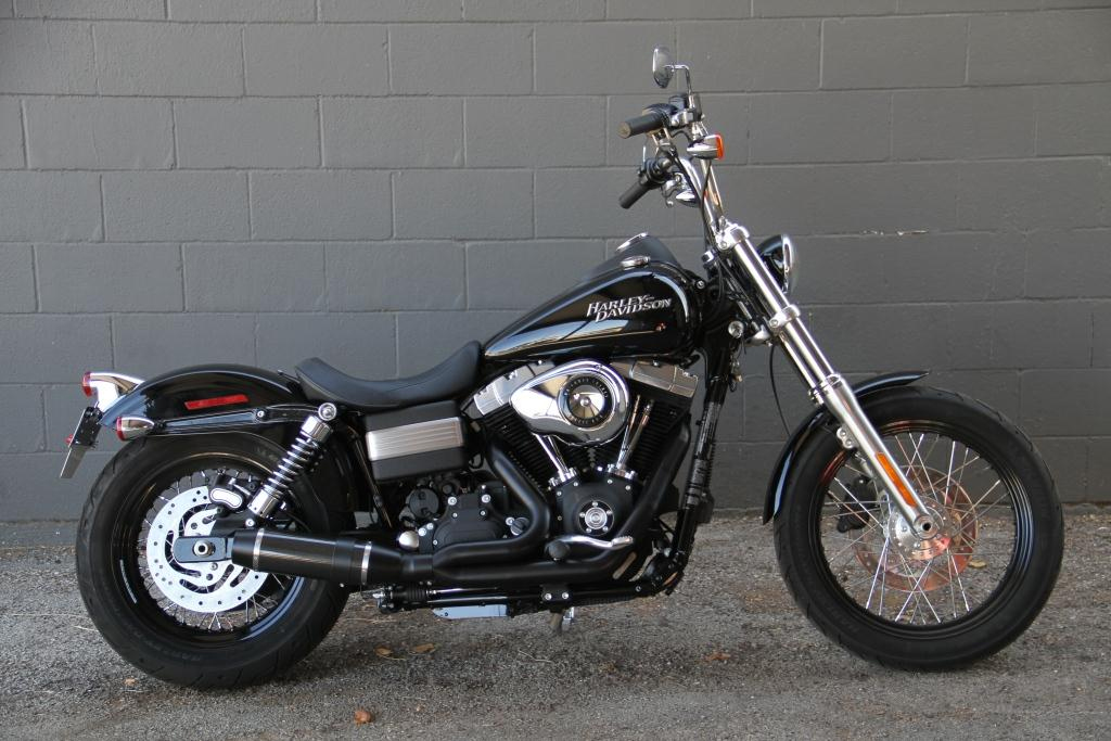 Dyna Bob Cat black �_�C�i