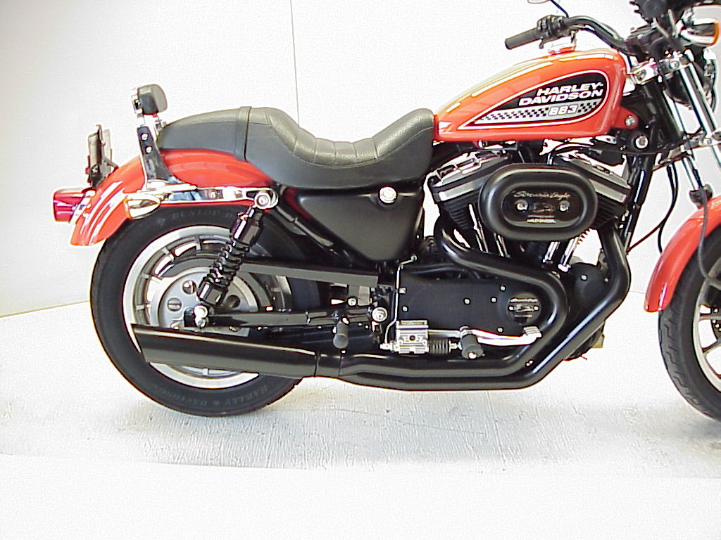 sportster, fat cat, d&d, 