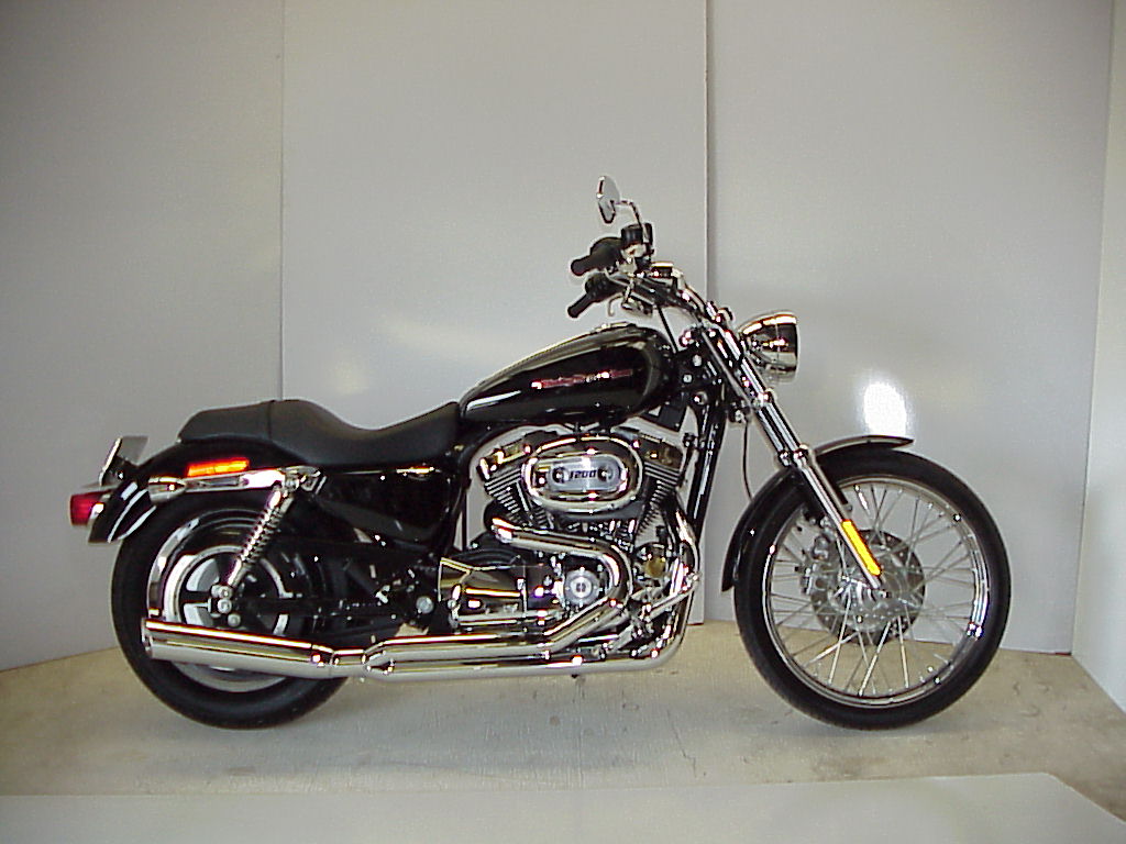 �t�@�b�g�L���b�g, fat cat, sportster, �X�|�[�c�X�^�[