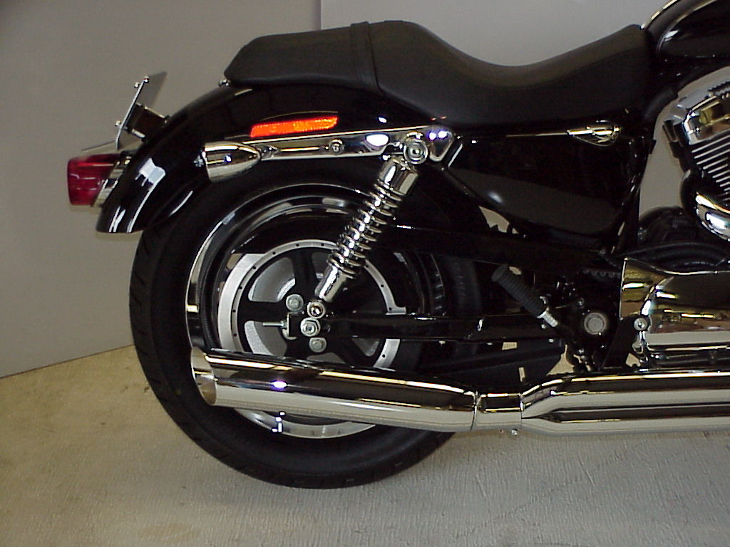 fat cat, sportster, harley, d&d