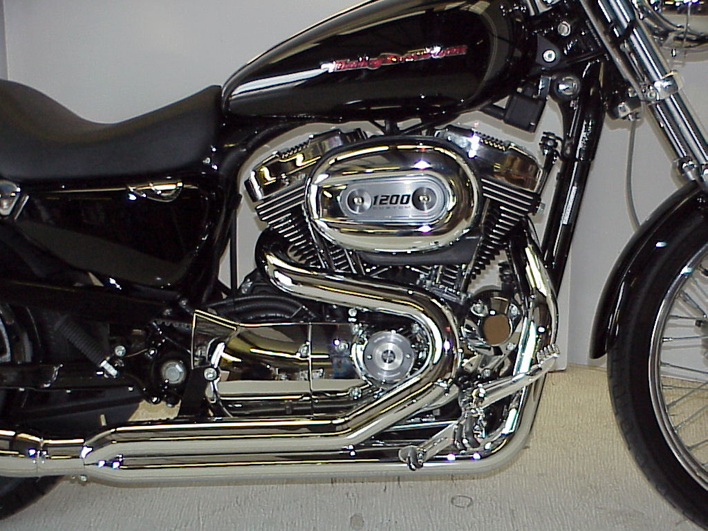 fat cat, sportster, harley, d&d